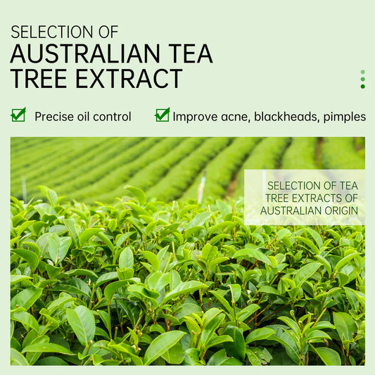 Jelly Prim Tea Tree Acne Treatment Serum